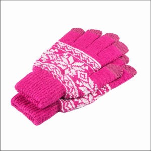 Touch Gloves