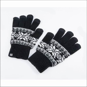 Touch Gloves