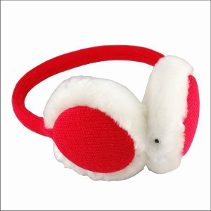 Music Ear Warmer