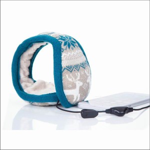 Audio Ear Muffs